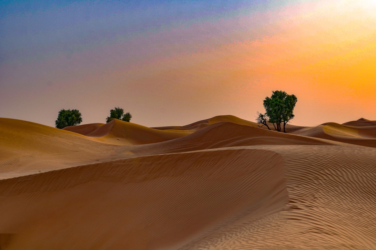 temperature in desert safari dubai