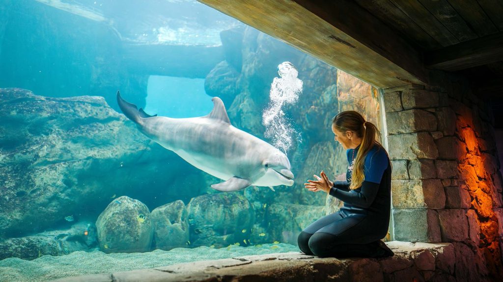 SeaWorld Abu Dhabi
