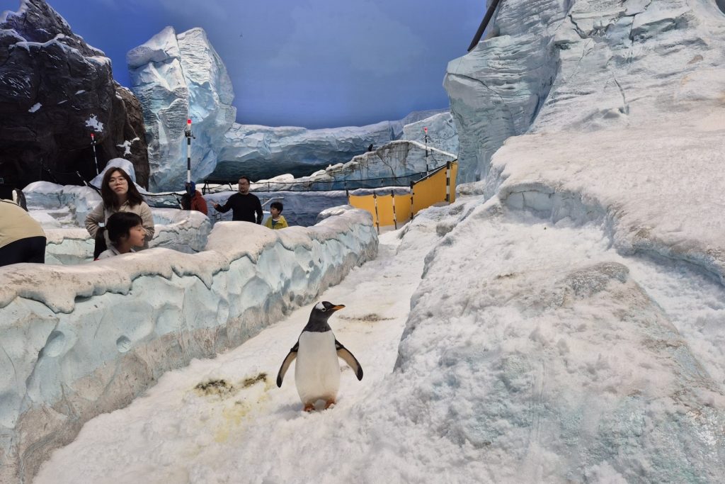 SeaWorld Abu Dhabi Thrillark