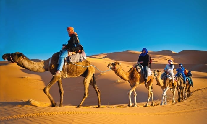 Dubai Morning Desert Safari Camel Ride