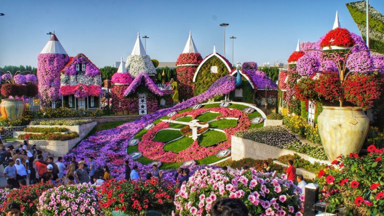 The Wait is Over: Dubai Miracle Garden’s Blooming Returns in October