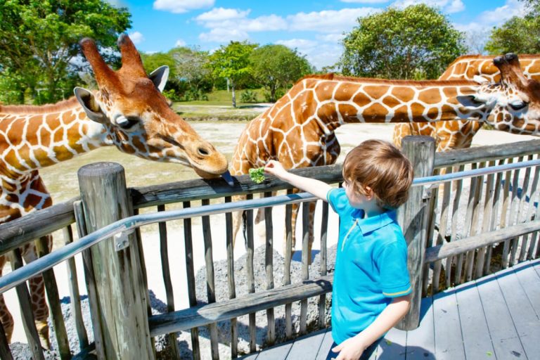 The Ultimate Guide to Theme Parks in Dubai