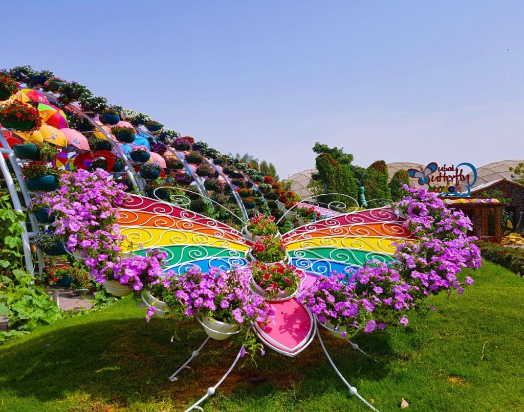 Butterfly garden in dubai