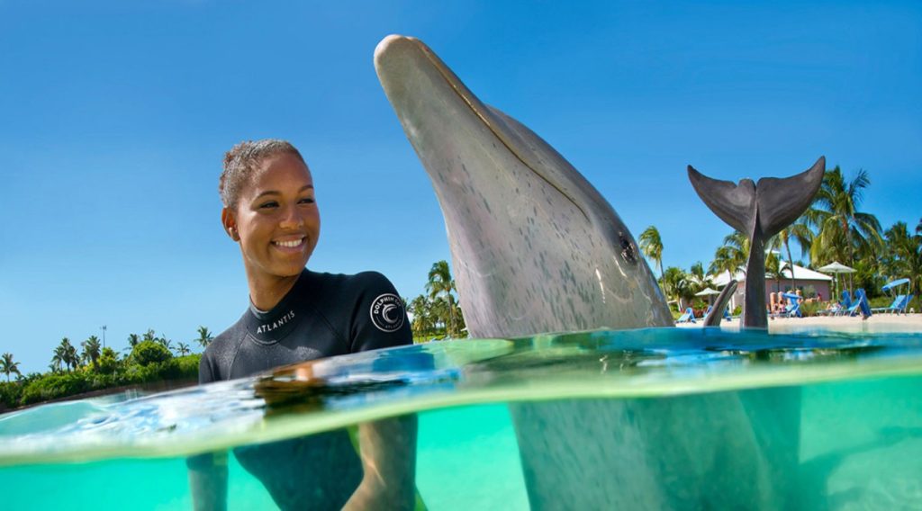 what to do in dubai for three dasy, you can include trip to aquaventure