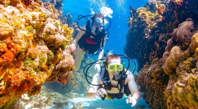 Underwater Utopia: A Deep Dive into the UAE’s Spectacular Scuba Experiences