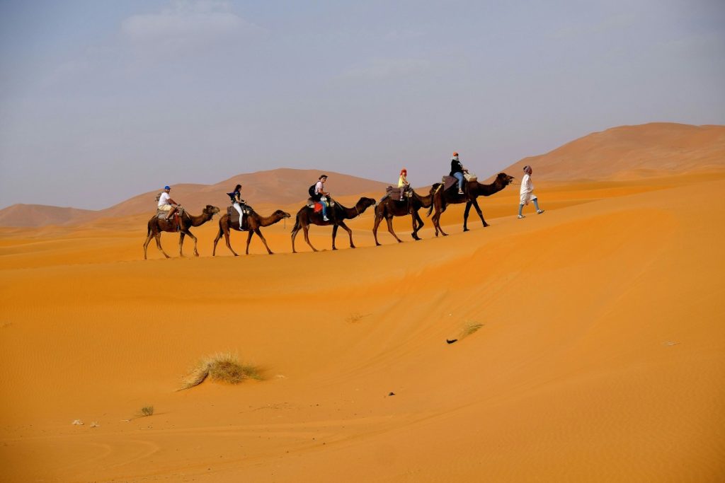 Image of Camel ride experience in Riyadh, 5 Amazing Things To Do in Dubai For Free