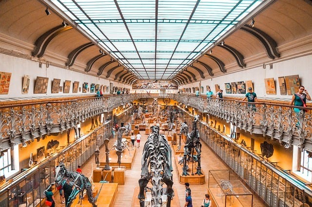 Siriraj Medical Museum,Hidden Cultural Activities in Bangkok