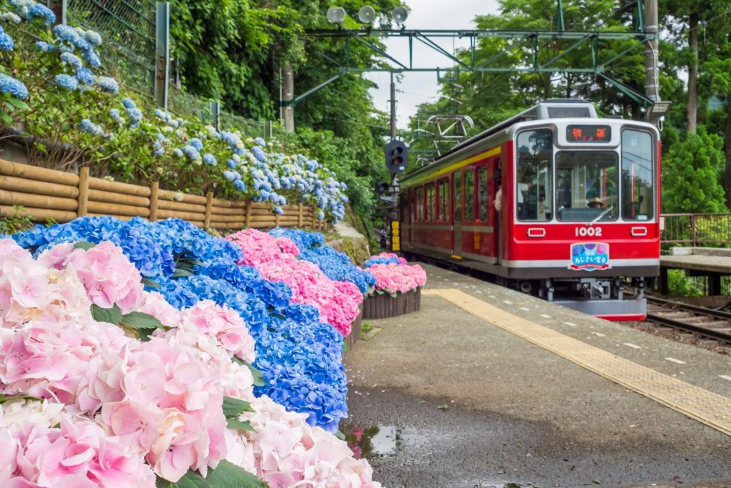 Tokyo-in-June