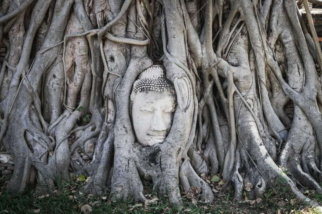 Ancient City of Ayutthaya, Loy Krathong Festival 2025