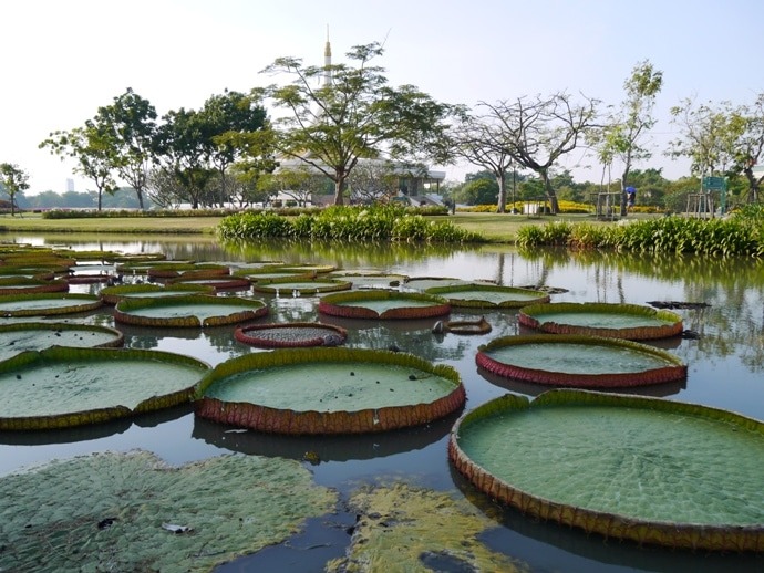 Old Bangkok Parks