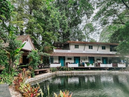 Best Wellness Retreats in Phuket for Yoga, Detox & Beach Healing Escapes
