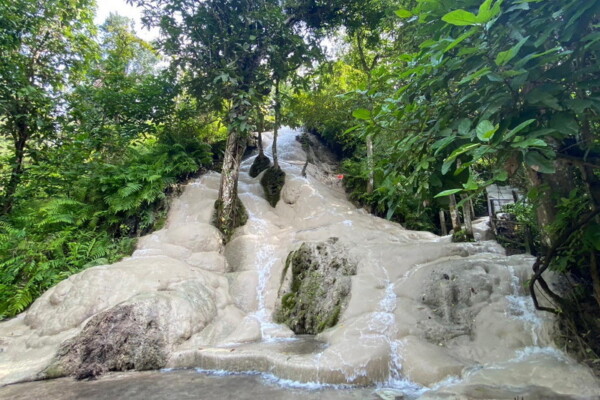 Outdoor & Wildlife Adventures in Chiang Mai to do with family
