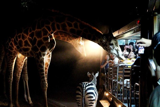 Outdoor & Wildlife Adventures in Chiang Mai to do with family