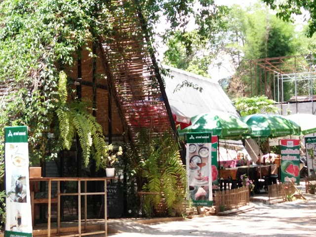 Hidden Family-Run Treasures of chiang mai