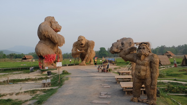 Landscape and Nature: Mountains, Rivers, and Forests in Chiang Mai