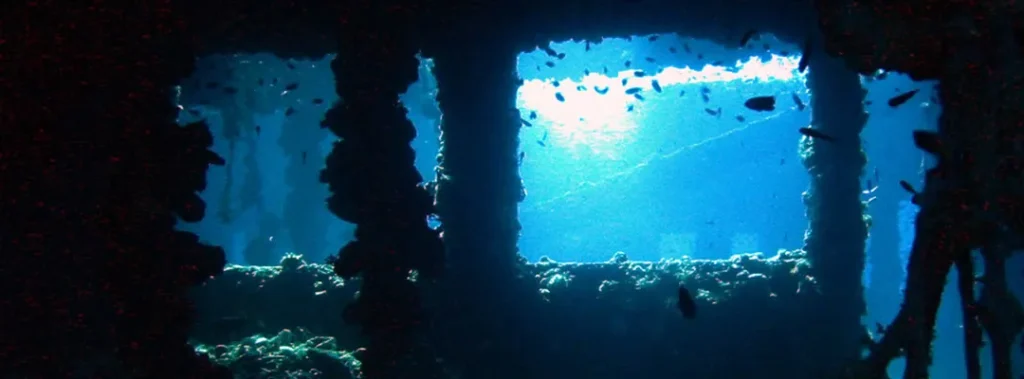 Best Diving Sites Around Phuket