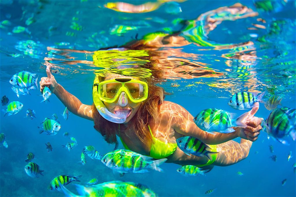 Harmony Beach Club , Halfmoon Festival 2025? Don’t Miss These 5 Epic Things to Do in Koh Phangan