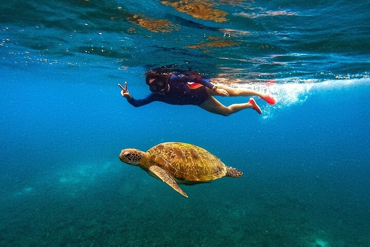 Harmony Beach Club , Halfmoon Festival 2025? Don’t Miss These 5 Epic Things to Do in Koh Phangan