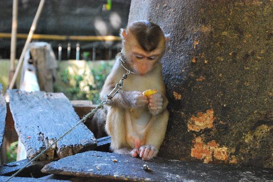 Day Trips Around Chiang Mai with family