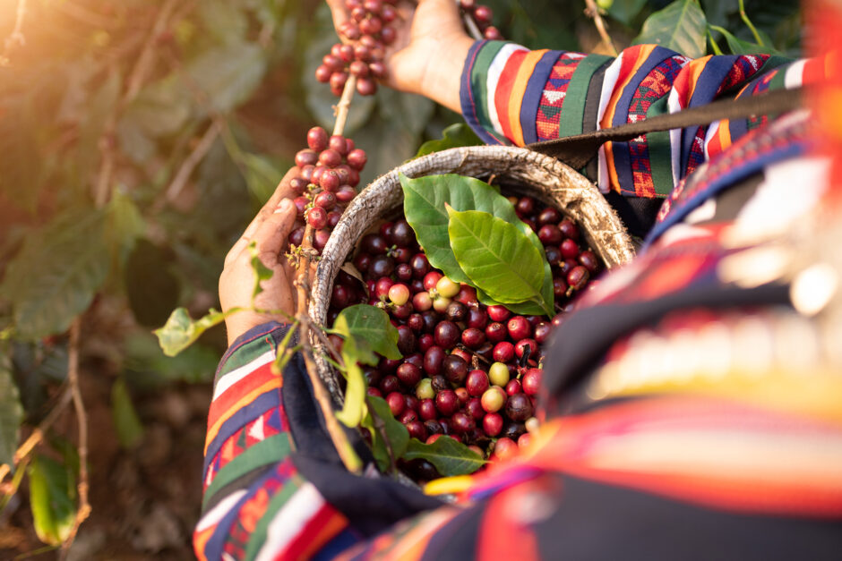 Chiang Mai’s Cafe & Coffee Culture