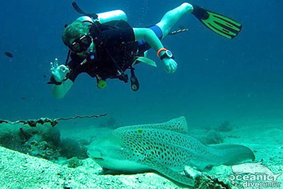 Best Diving Sites Around Phuket