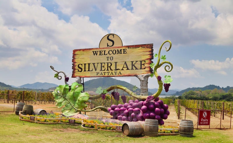 Silverlake Vineyard, Pattaya