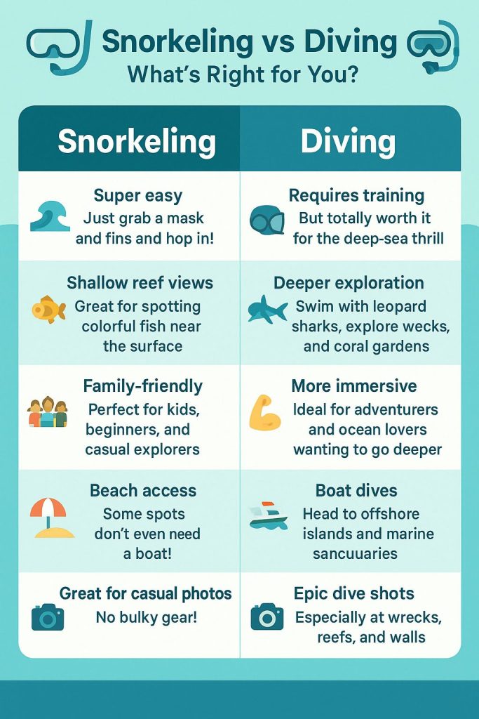 snorkeling vs diving