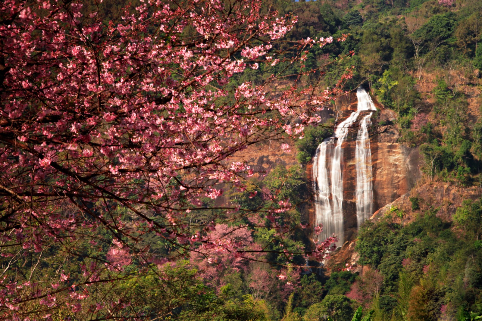 Hidden & Adventurous Waterfalls in Chiang Mai