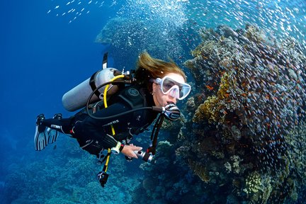 Best Snorkeling Spots in & Around Phuket