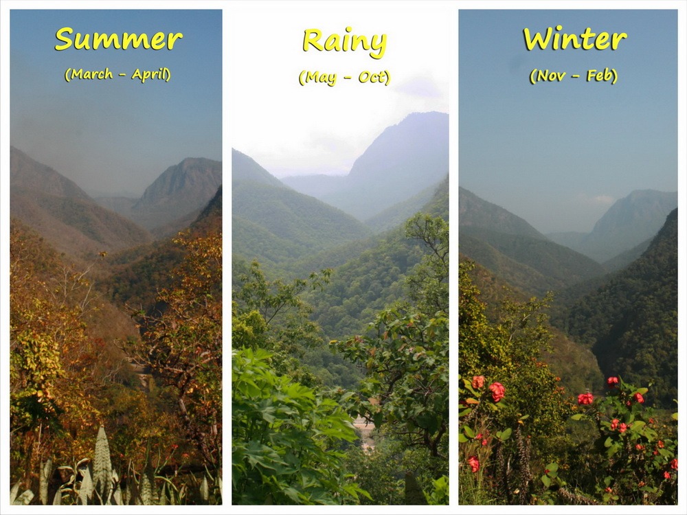 best-time-to-visit-chiang-mai