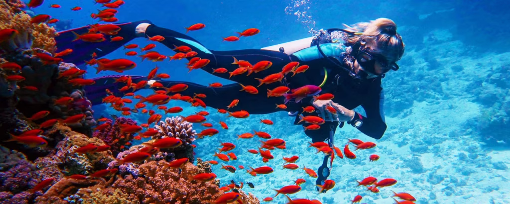 Ultimate Guide to Snorkeling & Diving in Phuket: Best Spots, Tours & Travel Tips