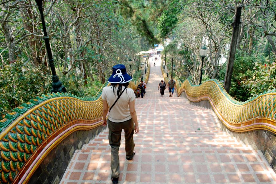 Landscape and Nature: Mountains, Rivers, and Forests in Chiang Mai