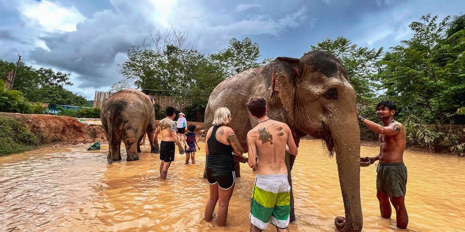Elephant Sanctuary pattaya