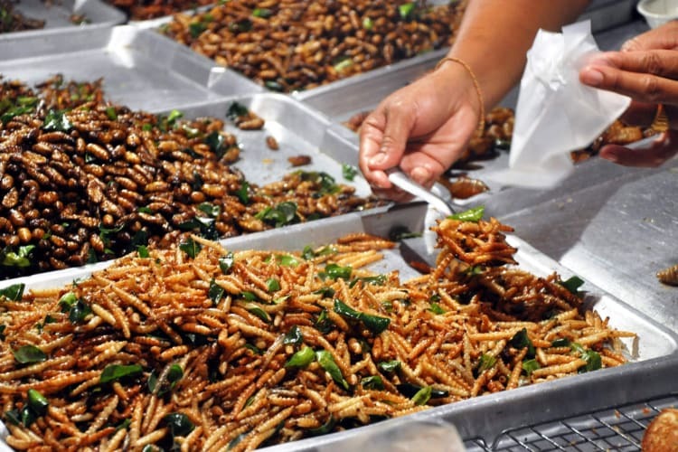 Fried insects