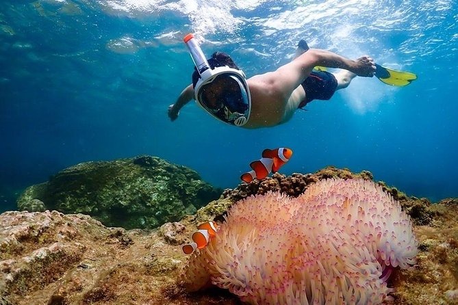 Snorkeling