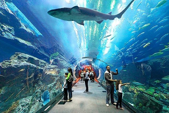 underwater world, pattaya