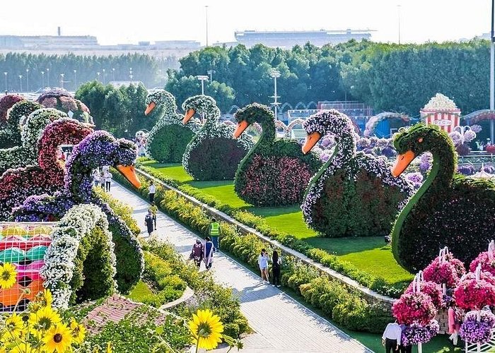 pictures of visiting miracle garden with family and frnds miracle garden 