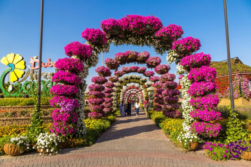 pictures of visiting miracle garden with family and frnds miracle garden