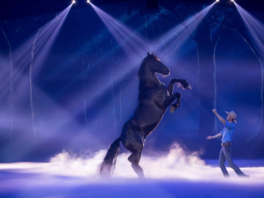 australian outback heartland show