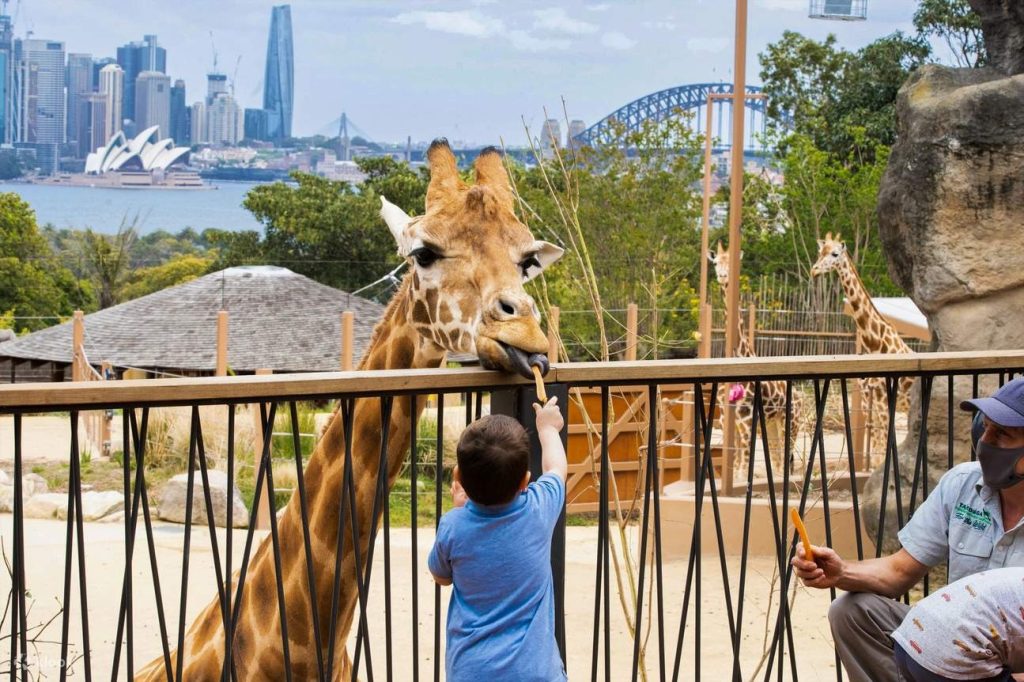 Taronga Zoo Sydney history