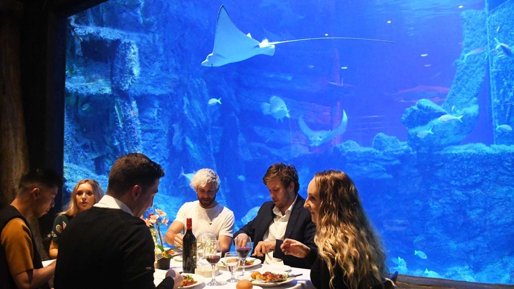 dining at sea life melbourne aquarium