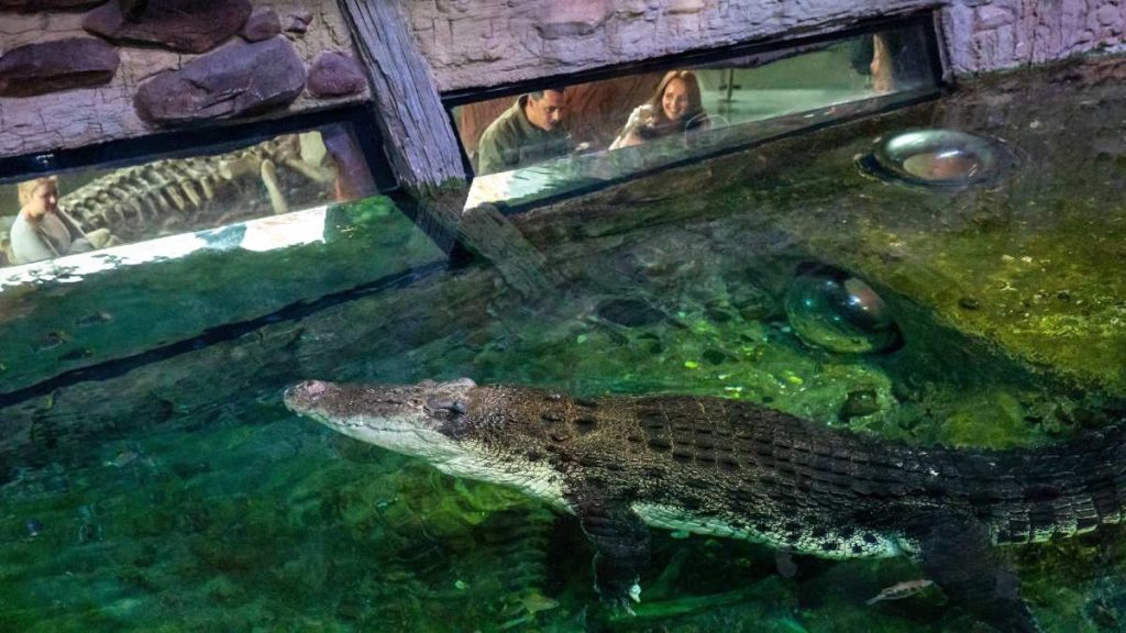 sealife melbourne aquarium