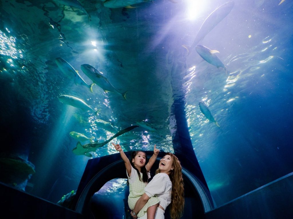 sea life melbourne aquarium