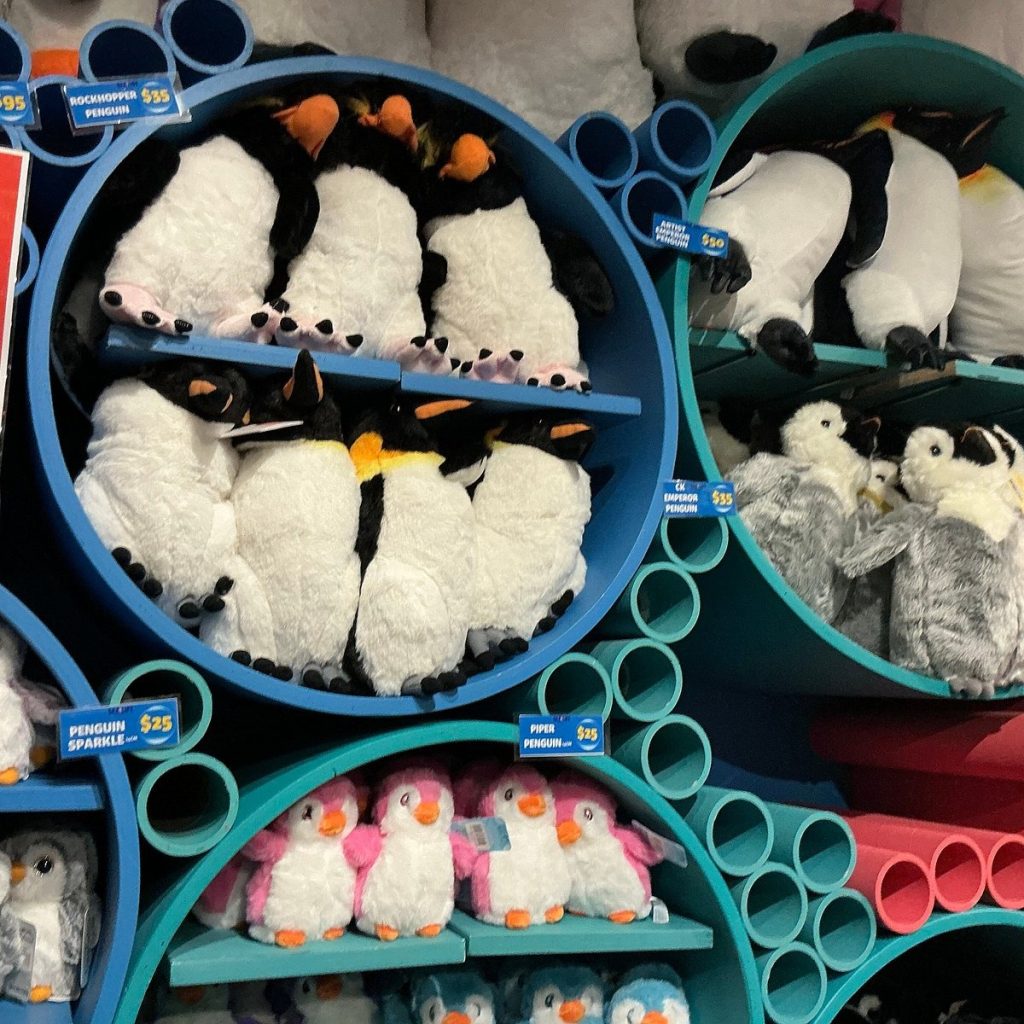 sea life melbourne souvenir shop