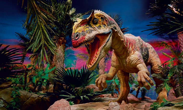 img world dubai ride zones