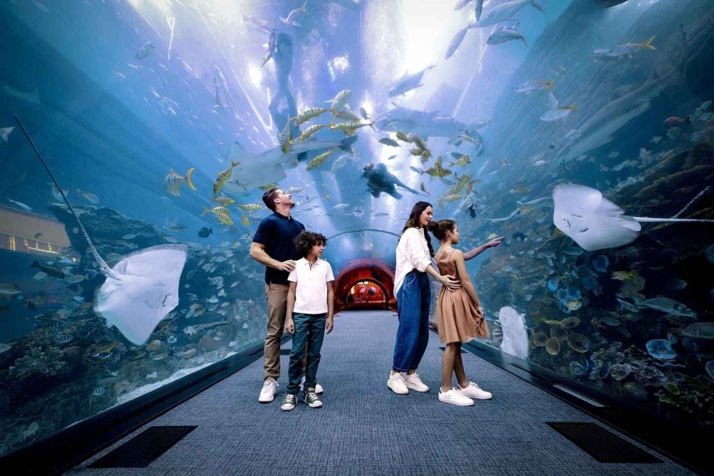 dubai aquarium and underwater zoo