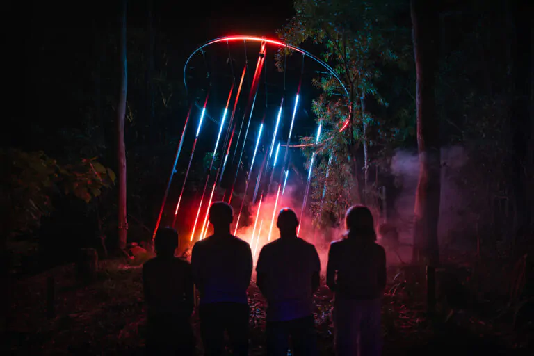 things to do in currumbin wildlife sanctuary