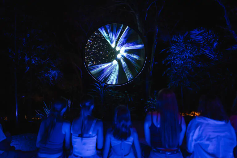 things to do in currumbin wildlife sanctuary