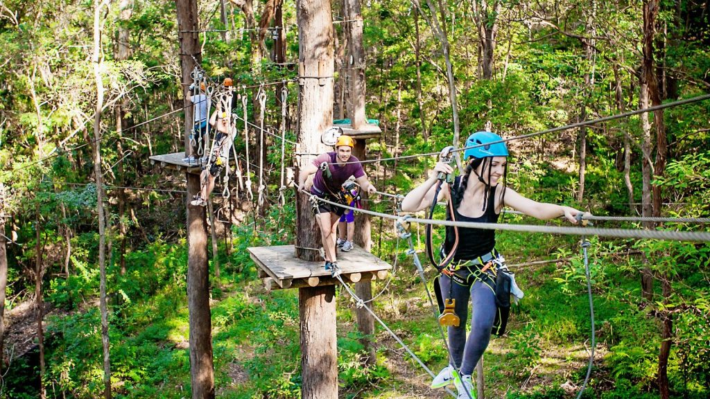 things to at currumbin wildlife sanctuary