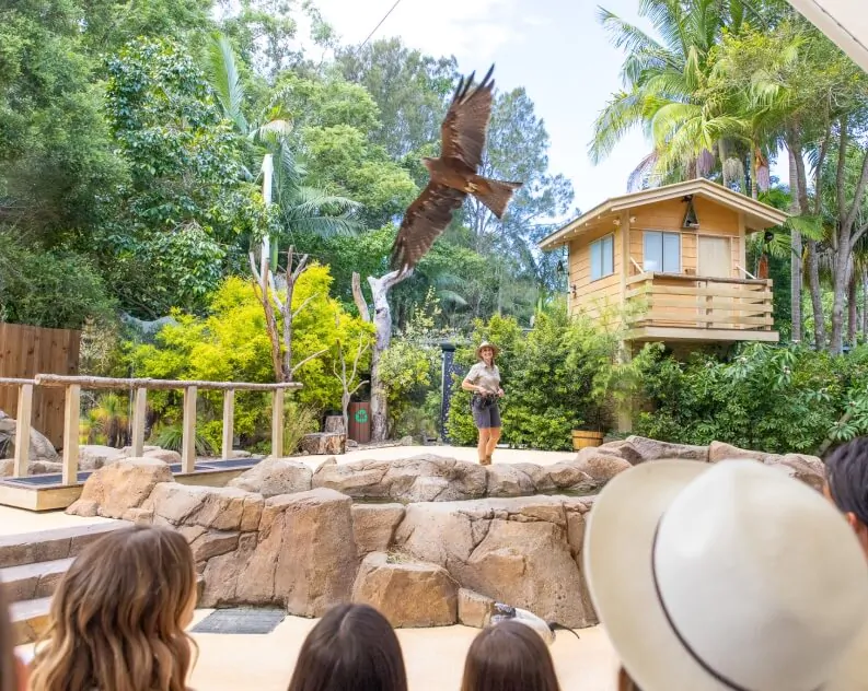 Top Animal Encounters – What to Do